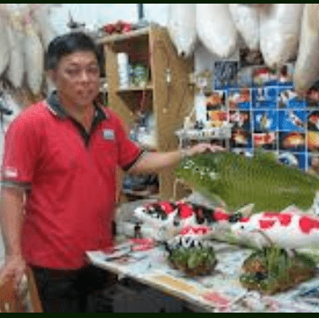 Terance Chua